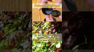 Don't forget your POLARIZING FILTER!