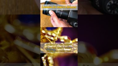 Getting twice as close with 2x macro lenses