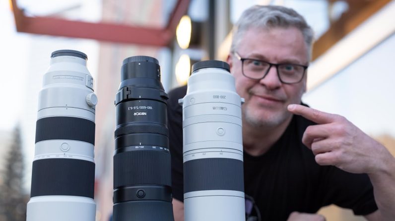 The Best Telephoto Lenses for Full Frame Mirrorless Cameras (Featuring Birds, Bikes and Balls!)