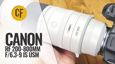 Canon RF 200-800mmf/6.3-9 IS USM lens review