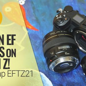 Canon EF lenses on Nikon Z! Megadap EFTZ21 adaptor review