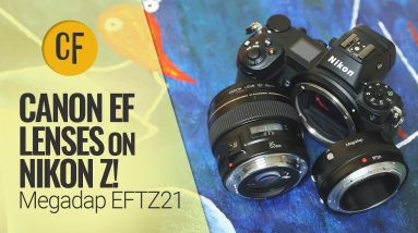 Canon EF lenses on Nikon Z! Megadap EFTZ21 adaptor review