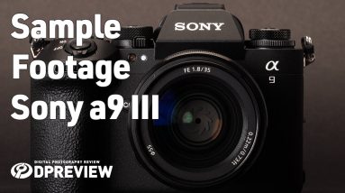 Sample Footage of the Sony a9 III | DPReview Test