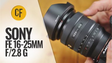 Sony FE 16-25mm f/2.8 'G' lens review