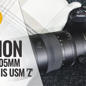 Canon RF 24-105mm f/2.8 'L' IS USM Z lens review