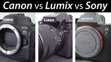 Canon R6 II vs Lumix S5 II vs Sony A7 IV video quality comparison