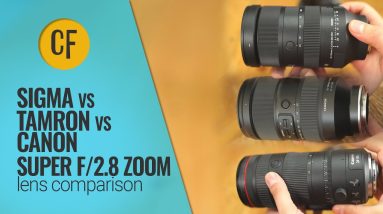 F/2.8 Super zoom battle: Sigma 28-105mm vs Tamron 35-150mm vs Canon 24-105mm 16 F/2.8 Super zoom battle: Sigma 28-105mm vs Tamron 35-150mm vs Canon 24-105mm