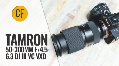 Tamron 50-300mm f4.5-6.3 Di III VC VXD lens review 4 Tamron 50-300mm f4.5-6.3 Di III VC VXD lens review