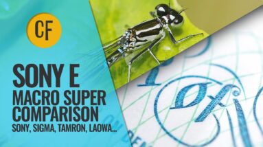 Macro Lenses for Sony Cameras: Super Comparison 2024 8 Macro Lenses for Sony Cameras: Super Comparison 2024