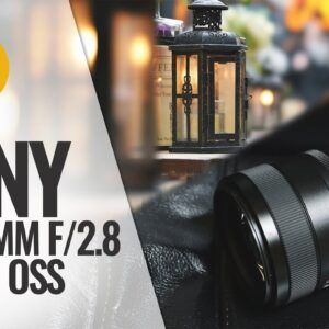 Sony FE 100mm f/2.8 STF GM OSS lens review