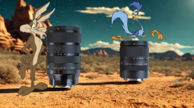 Sigma 17-40mm vs 18-50mm | APS-C Zoom Battle