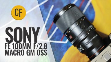 Sony FE 100mm f/2.8 Macro GM OSS lens review