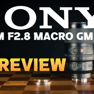 Sony FE 100mm F2.8 Macro GM OSS Review | The New Gold Standard