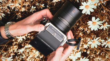 I Shot 100MP for 3 Months… Here’s the Truth About Hasselblad