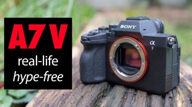 Sony A7 V for PHOTOGRAPHY review vs R6 III vs A7 IV vs S1 II
