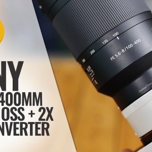 Sony FE 100-400mm f/5.6-8 OSS lens + 2x Teleconverter review